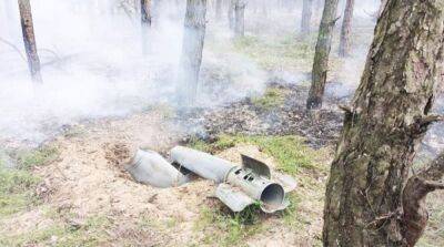 Анна Замазеева - Оккупанты обстреляли жилые дома в Николаеве, есть погибшие и раненые - ru.slovoidilo.ua - Украина - Киев - Николаев - район Николаевский