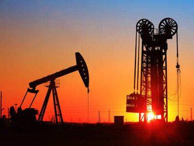 Франция договаривается с ОАЭ о замещении российской нефти