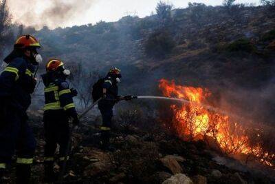 Большой лесной пожар вспыхнул поблизости Афин: пожарные второй день борются с пламенем