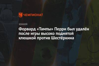 Форвард «Тампы» Перри был удалён после игры высоко поднятой клюшкой против Шестёркина