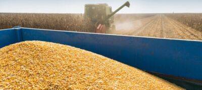 Зерно из Украины: в Госдепе США назвали основной способ возобновления экспорта