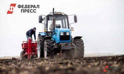 Каким районам Новосибирской области грозит засуха