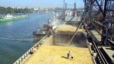 Politico: США не снимут санкции с РФ в обмен на экспорт зерна из Украины