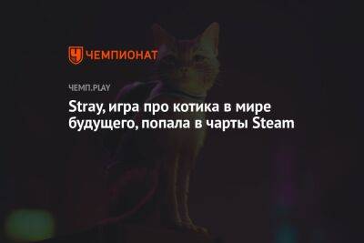 Stray, игра про котика в мире будущего, попала в чарты Steam