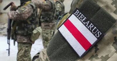 В Украине появилась петиция, предлагающая дать гражданство воюющим в ВСУ белорусам