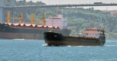 Турция обеспечит безопасность вывоза украинского зерна из Одесского порта, — СМИ