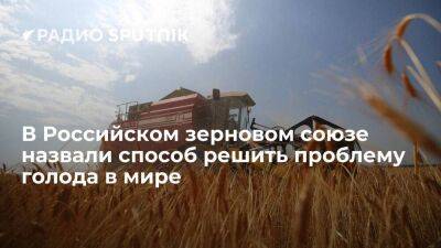 В Российском зерновом союзе назвали способ решить проблему голода в мире