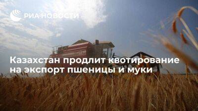 Казахстан продлит квотирование на экспорт пшеницы и муки до 1 сентября
