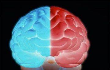 Ученые с помощью томографии мозга отличили либерала от консерватора