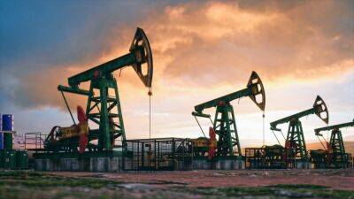 Индия планирует удвоить импорт российской нефти ради скидок — Bloomberg