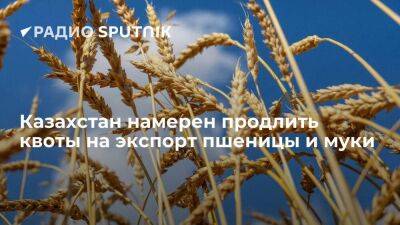В Казахстане продлят квотирование на экспорт пшеницы и муки до конца лета