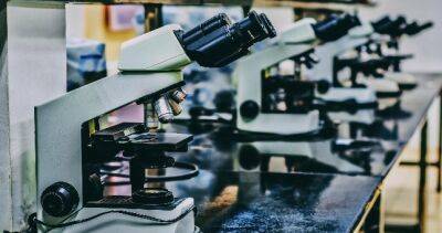 Выявить гепатит или ковид: в Турсунзаде открылась новая лаборатория