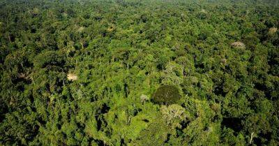 В джунглях Амазонки бесследно пропали британский журналист и его бразильский коллега