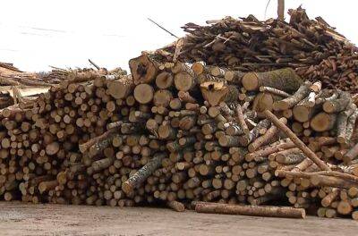 Уже никто не шутит: украинцам настоятельно советуют запастись дровами из-за бешеных цен на отопление