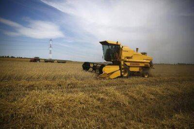 Экспортная пошлина на пшеницу из РФ с 8 июня повышена до $129,2 за тонну