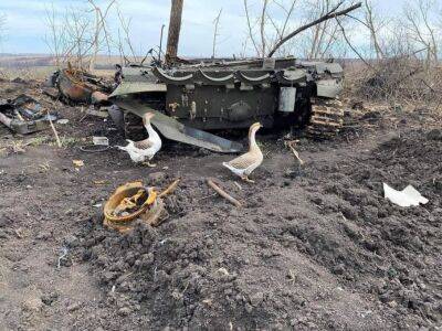 Украинская артиллерия нанесла мощные удары по позициям оккупантов | Новости Одессы