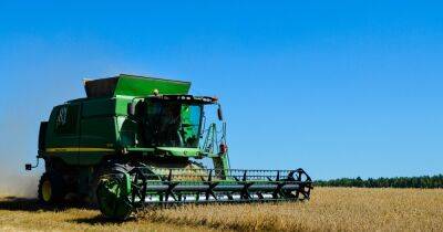 В Минагрополитики рассказали, как собираются спасать урожай зерна в этом году