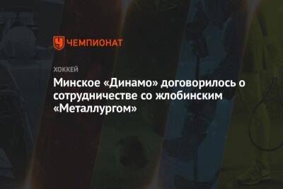 Минское «Динамо» договорилось о сотрудничестве со жлобинским «Металлургом»
