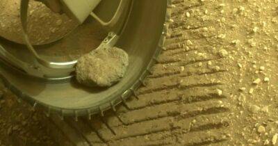 Неожиданный попутчик. У марсохода Perseverance появился любимый камень на Марсе (фото)