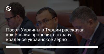 Посол Украины в Турции рассказал, как Россия провозит в страну краденое украинское зерно