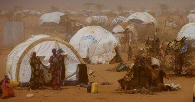 Голод в Сомали. ЮНИСЕФ просит перестать концентрировать внимание только на войну в Украине