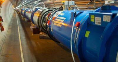 Физик просит не строить еще один Большой адронный коллайдер: в чем причина