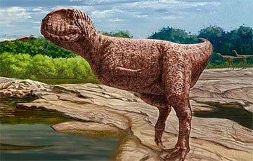 Ученые обнаружили в Египте необычного динозавра
