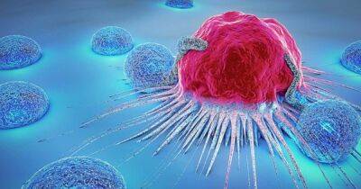 Лекарство от рака: как работает экспериментальный препарат, вызвавший ремиссию у 100% испытуемых