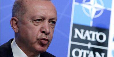 «Ситуация в Сирии является рычагом». Посол Украины в Турции ответил на вопрос, правда ли, что Эрдоган не на стороне Путина