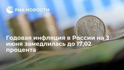 Минэкономразвития: инфляция в России в годовом выражении замедлилась до 17,02% на 3 июня