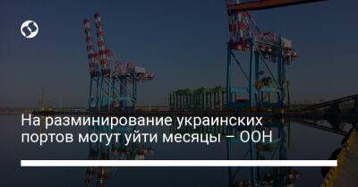 На разминирование украинских портов могут уйти месяцы – ООН