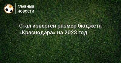 Стал известен размер бюджета «Краснодара» на 2023 год