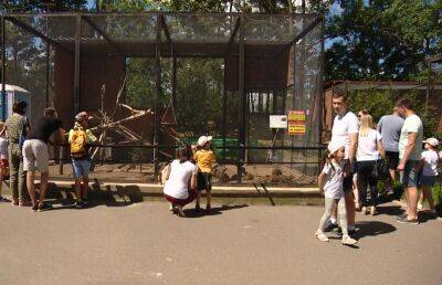 Минский зоопарк приглашает на бесплатные экскурсии