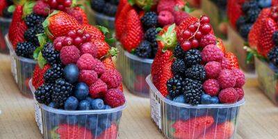 Календарь сезонных ягод и фруктов на лето. Когда в этом году закупать продукты для заморозки, варенья, консервации