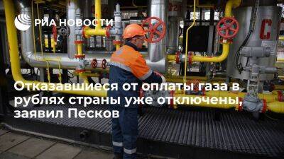 Песков: отказавшиеся от оплаты газа в рублях страны уже отключены от поставок