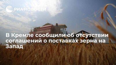 Песков: Кремль ведет работу по соглашениям о поставках зерна на Запад
