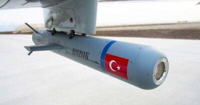 Идеальная среда для испытаний: в ВСУ захотели новые турецкие снаряды для Bayraktar (фото)