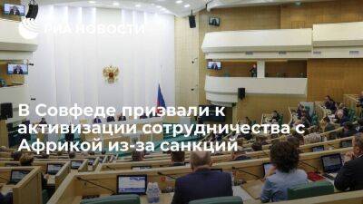 Сенатор Морозов призвал усилить сотрудничество с Африкой из-за антироссийских санкций