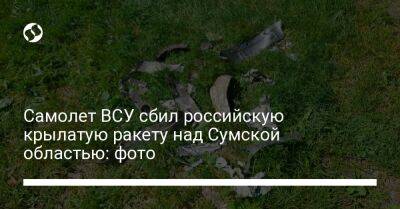 Самолет ВСУ сбил российскую крылатую ракету над Сумской областью: фото