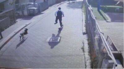 Видео: в Петах-Тикве раввин погиб под машиной из-за гнавшейся за ним собаки