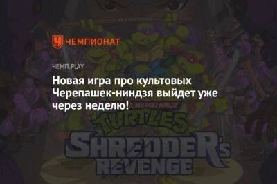 Стала известна дата релиза TMNT: Shredder’s Revenge, новый геймплей с Кейси