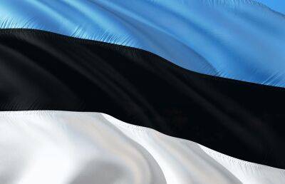 В случае войны России с Эстонией русские в Нарве поддержат Москву, заявило датское СМИ