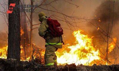 Какие выплаты получили новосибирские погорельцы – жертвы природных пожаров