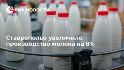 Ставрополье увеличило производство молока на 8%