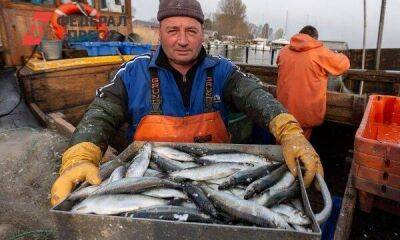 На Ямале откроют цех переработки рыбы на деньги губернаторского гранта