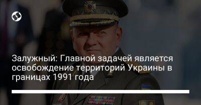 Залужный: Главной задачей является освобождение территорий Украины в границах 1991 года