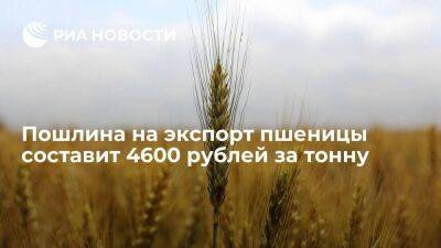 Минсельхоз: пошлина на экспорт пшеницы из России с 6 июля составит 4600 рублей за тонну