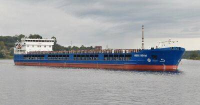 "Требуем принять меры": судно под флагом РФ с украинским зерном прибыло в Турцию