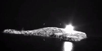 Россия нанесла удар фосфорными бомбами по острову Змеиный — Залужный опубликовал видео