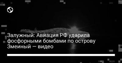 Залужный: Авиация РФ ударила фосфорными бомбами по острову Змеиный — видео